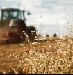 Governo proíbe uso de fogo e maquinaria agrícola devido ao risco de incêndio
