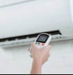 IPMA pondera subir alerta para vermelho em alguns distritos devido ao calor
