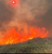 Incêndio em Aljezur tem três frentes ativas com 314 operacionais no terreno 