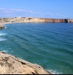 Universidade do Algarve organiza Festival das Ci&ecirc;ncias do Mar