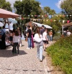 Aldeia de Parises celebra a Festa dos Tabuleiros Floridos no pr&oacute;ximo fim de semana  
