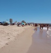 Concession&aacute;rios do Algarve alertam que chap&eacute;us-de-sol em frente aos apoios de praia constituem "perigo" 