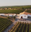 Programa &ldquo;Cabaz da Terra&rdquo; promove visita dedicada aos vinhos do concelho de Tavira 