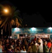 Festival da Sardinha bate recorde de visitantes