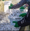 Produtores do Algarve prop&otilde;em paragem da pesca com ganchorra por um m&ecirc;s e meio