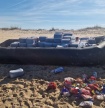 Pol&iacute;cia Mar&iacute;tima apreende embarca&ccedil;&atilde;o com 2.600 litros de combust&iacute;vel na Ria Formosa