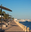 Santa Luzia celebra Dia Mundial do Polvo com Rota Gastron&oacute;mica 