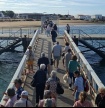 Passeio de barco pela Ria Formosa assinalou Dia Internacional do Idoso em Faro 