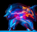 Academia de Dança do Algarve dá início a nova época em várias localidades da região 