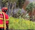 Mais de 120 operacionais e cinco meios aéreos combatem fogo no concelho de Aljezur