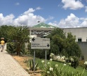 Regulador pede a ULS do Algarve que garanta transferência pediátrica permanente após morte de bebé em Portimão