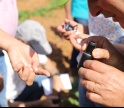 2ª edição das Jornadas Técnicas em Agricultura Biológica acontece em Tavira 