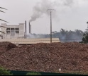 Fecho inesperado de fábrica de cortiça em Silves abona a favor dos moradores 