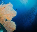 2ª Conferência do Mar está de regresso a Armação de Pêra