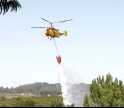 9 concelhos algarvios em perigo máximo de incêndio 