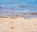 APA vai repor areia na praia do Vau em Portimão após o verão