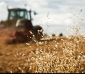 Governo proíbe uso de fogo e maquinaria agrícola devido ao risco de incêndio