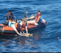Tartaruga que ingeriu plástico devolvida ao mar
