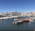 Associações pedem ao tribunal que aplique lei e trave porto de recreio de Faro