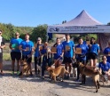 Associa&ccedil;&atilde;o algarvia conquista v&aacute;rios t&iacute;tulos no Campeonato Nacional de Dog Puller