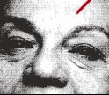Se gostas de ler e escrever, inscreve-te no Concurso Liter&aacute;rio Sophia de Mello Breyner Andresen
