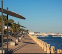 Santa Luzia celebra Dia Mundial do Polvo com Rota Gastron&oacute;mica 