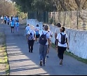 Freguesia da T&ocirc;r recebe caminhada pela igualdade e solidariedade 
