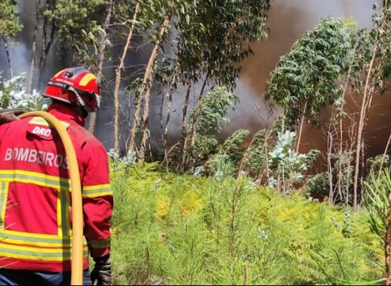 Mais de 120 operacionais e cinco meios aéreos combatem fogo no concelho de Aljezur