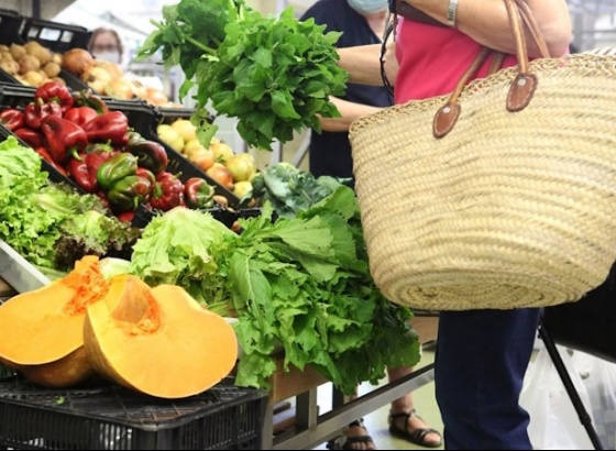 Mercado Municipal de Portimão abre hasta pública sobre módulo para comercialização de produtos hortofrutícolas