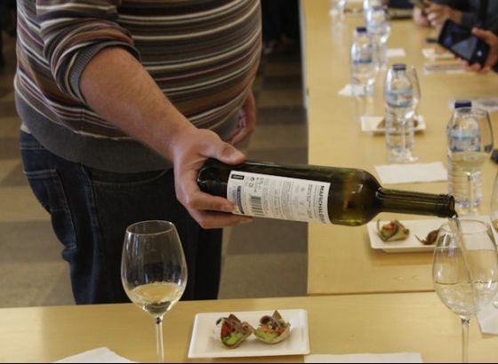 Visita guiada e prova de vinhos algarvios no Museu Municipal de Tavira