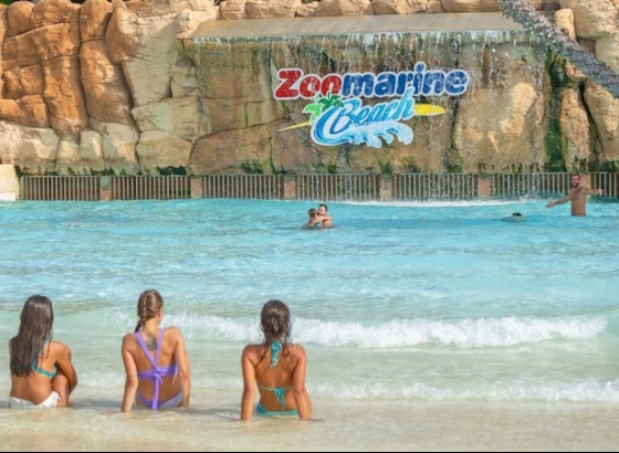 Residentes no Algarve têm desconto no Zoomarine até 31 de maio