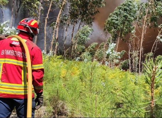 Duas novas equipas reforçam dispositivo de combate a incêndios no Algarve