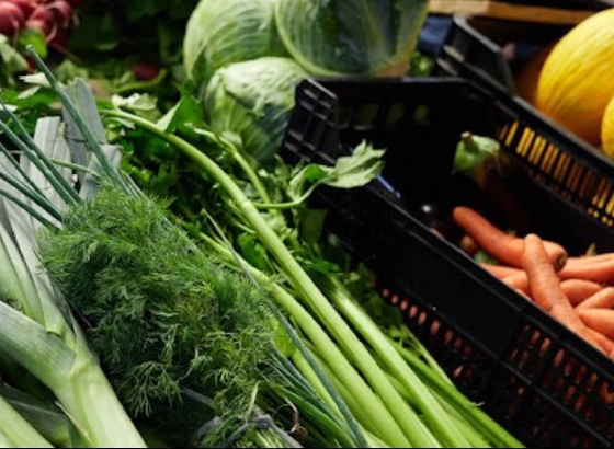 Vicentina dinamiza ações na Rede Regional de Mercados Locais 