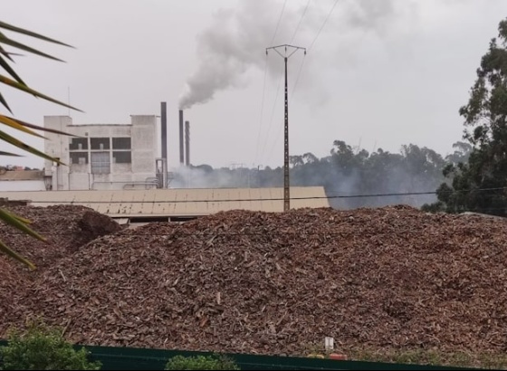 Fecho inesperado de fábrica de cortiça em Silves abona a favor dos moradores 