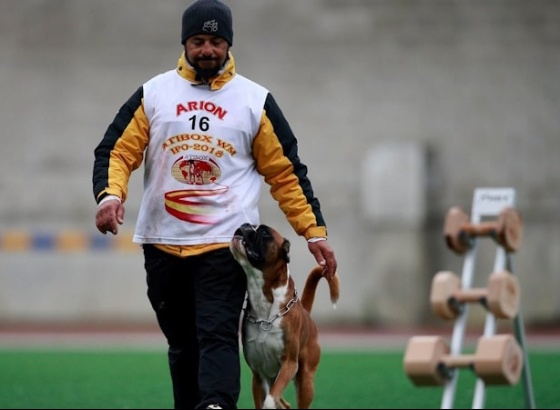 Escola Iron Dog Algarve promove masterclass gratuita 