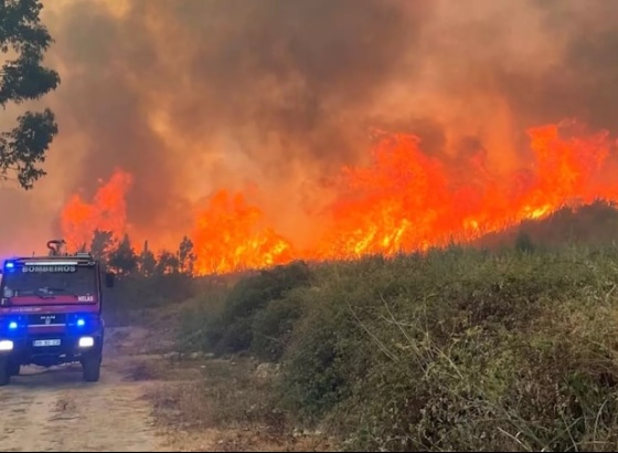 Relatório europeu alerta para "aumento da mortalidade” em Portugal associada aos fogos