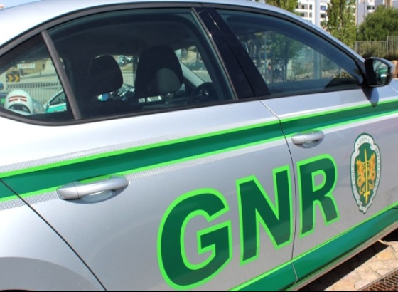 GNR apreende tabaco de mascar e papoila-seca em Olhão