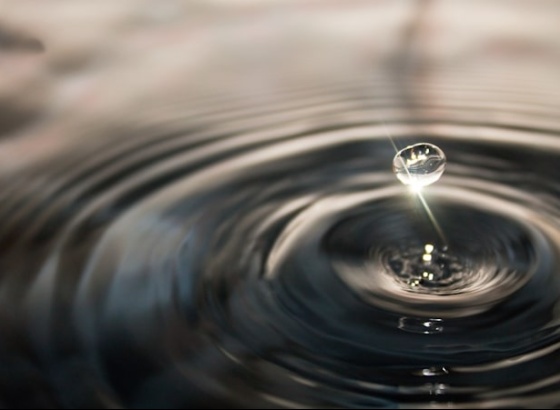 Empreendimentos algarvios com selo "Save Water" poupam 13% de água num ano