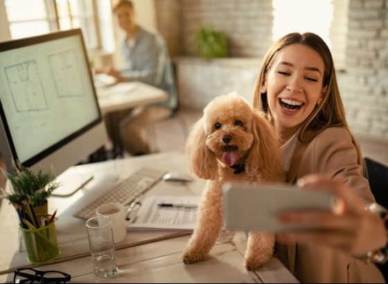 56% dos portugueses diz que trabalhar com animais de companhia reduz o stress