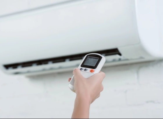 IPMA pondera subir alerta para vermelho em alguns distritos devido ao calor
