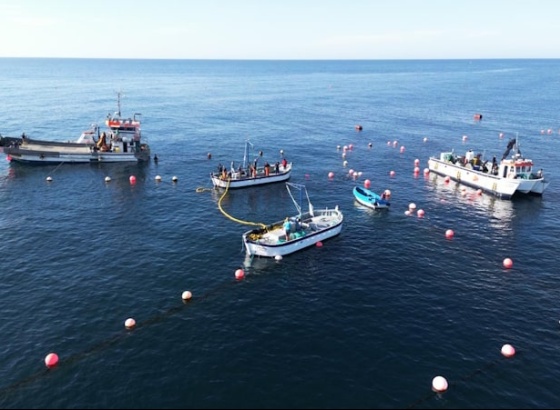 Real Atunara denuncia pesca clandestina de atum ao largo de Tavira 