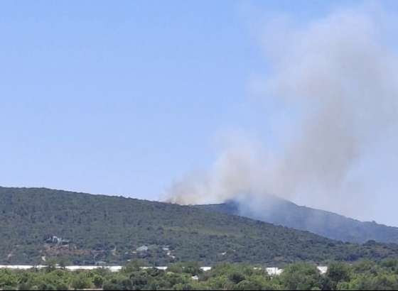 Incêndio no Cerro de São Miguel em fase de resolução com 69 operacionais no terreno