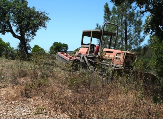 São Brás de Alportel: Trabalhos de defesa da floresta em fase de conclusão 
