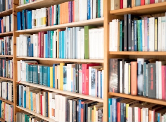 Há um mundo de histórias por descobrir na Feira do Livro de Lagos