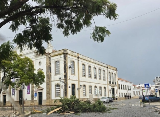 Fenómeno extremo de vento faz cair árvores e estruturas em Faro