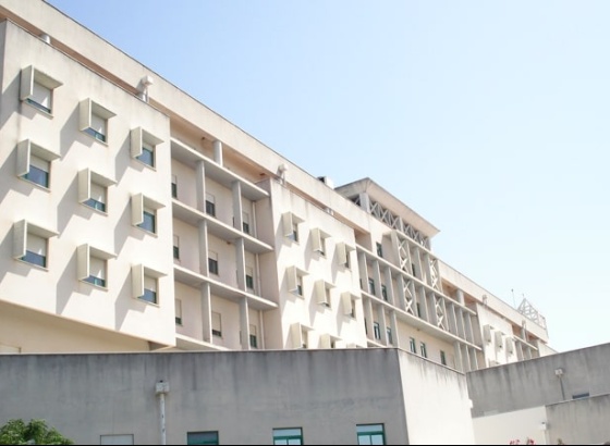 Ministra da Saúde visita ULS Algarve para preparar inverno