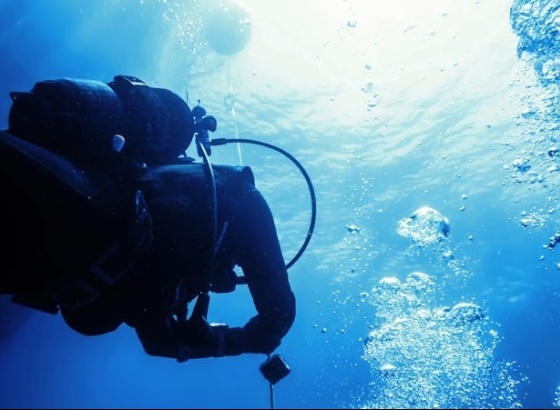 Área marinha protegida no Algarve com 40 novos registos de espécies