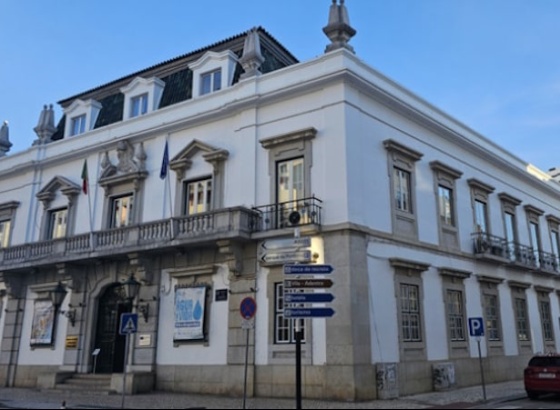 Mau tempo: CCDR Algarve lança levantamento de prejuízos agrícolas para serem tomadas medidas de apoio