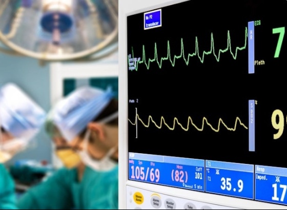 Médica Diana Pereira absolvida em processo de difamação