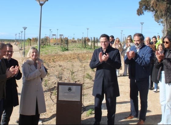 Olh&atilde;o tem uma nova zona de contempla&ccedil;&atilde;o da natureza 